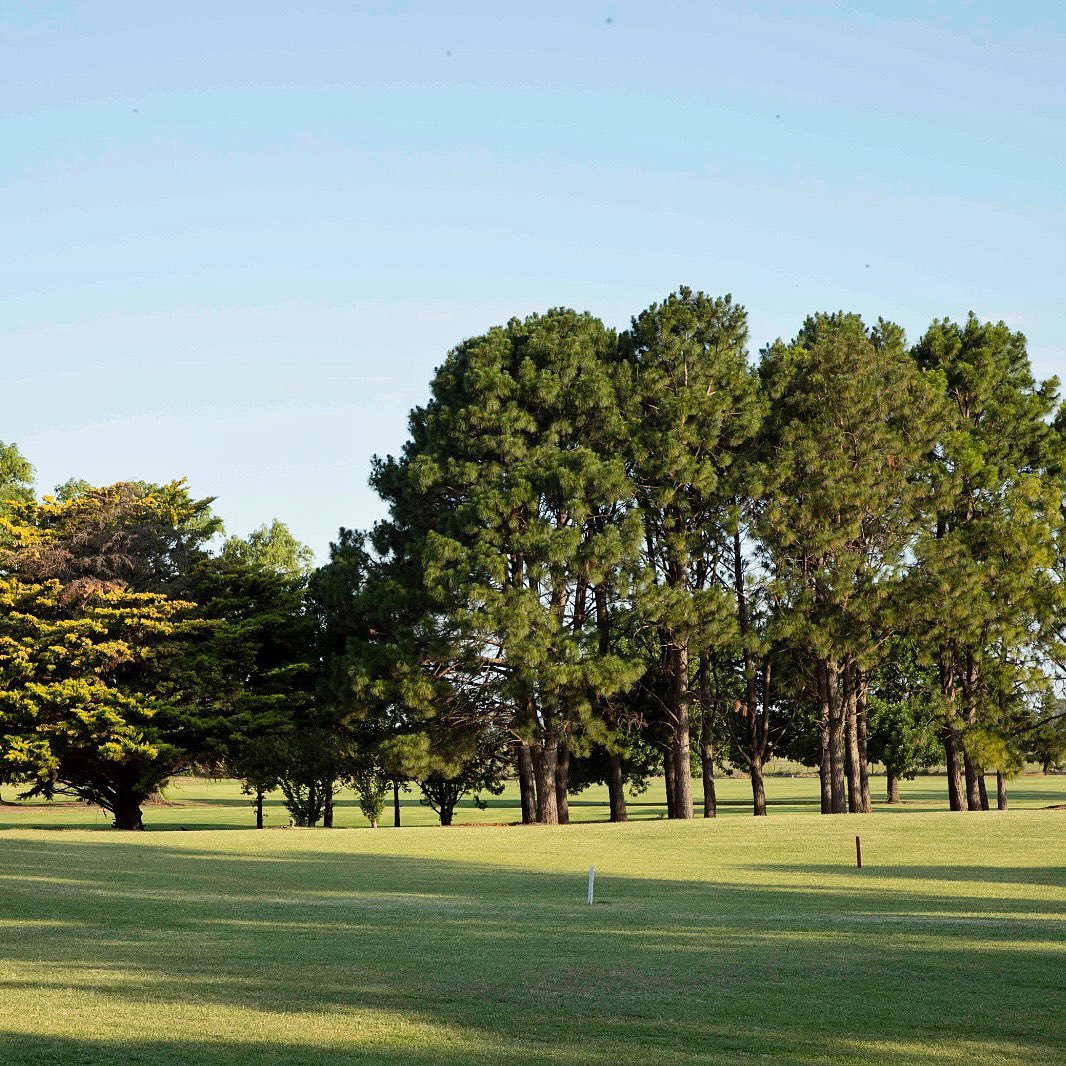 CLUB MUN. DE GOLF FORTIN TORDILLO