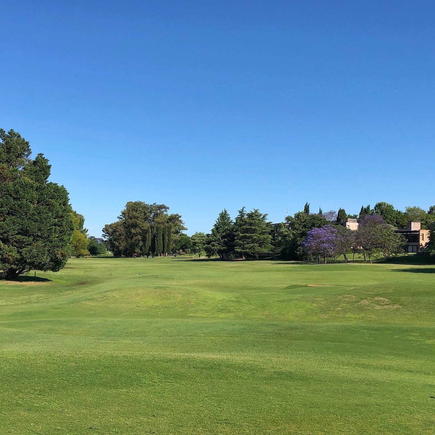 Club Newman