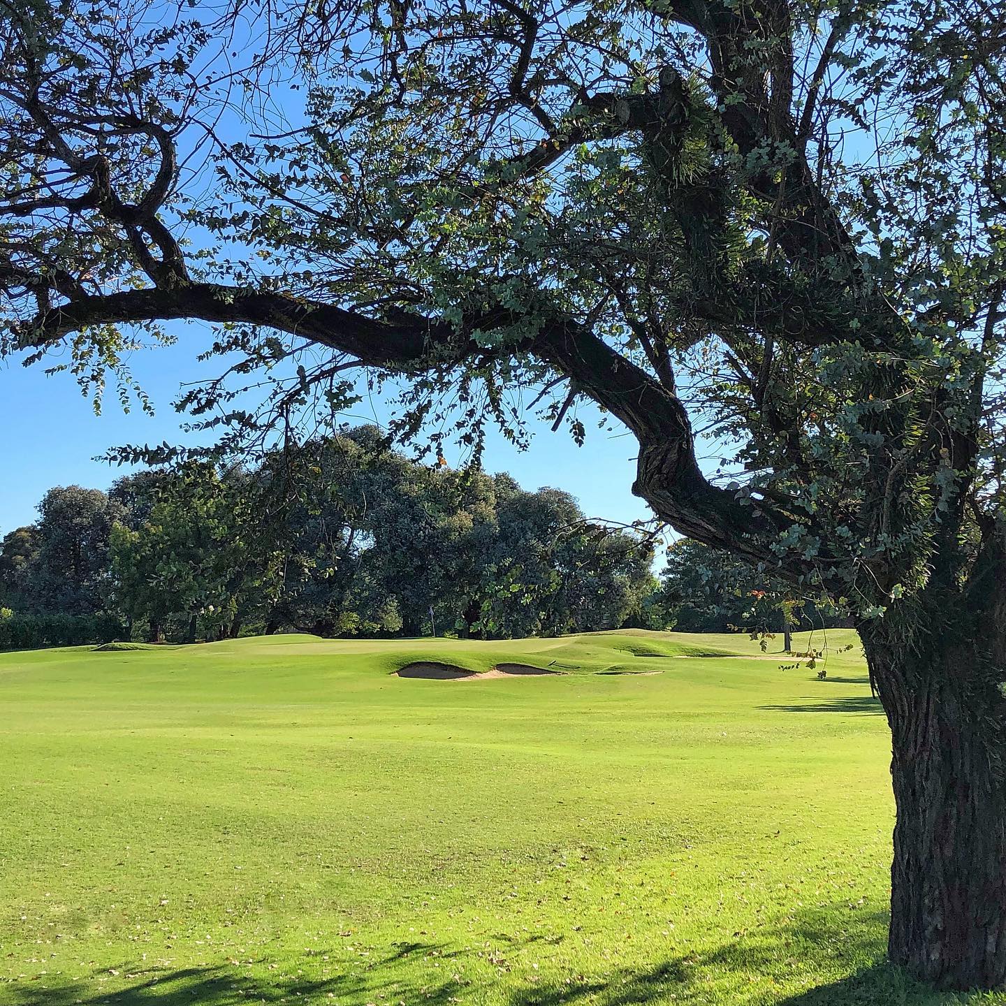 Club Newman