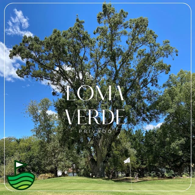 Loma Verde