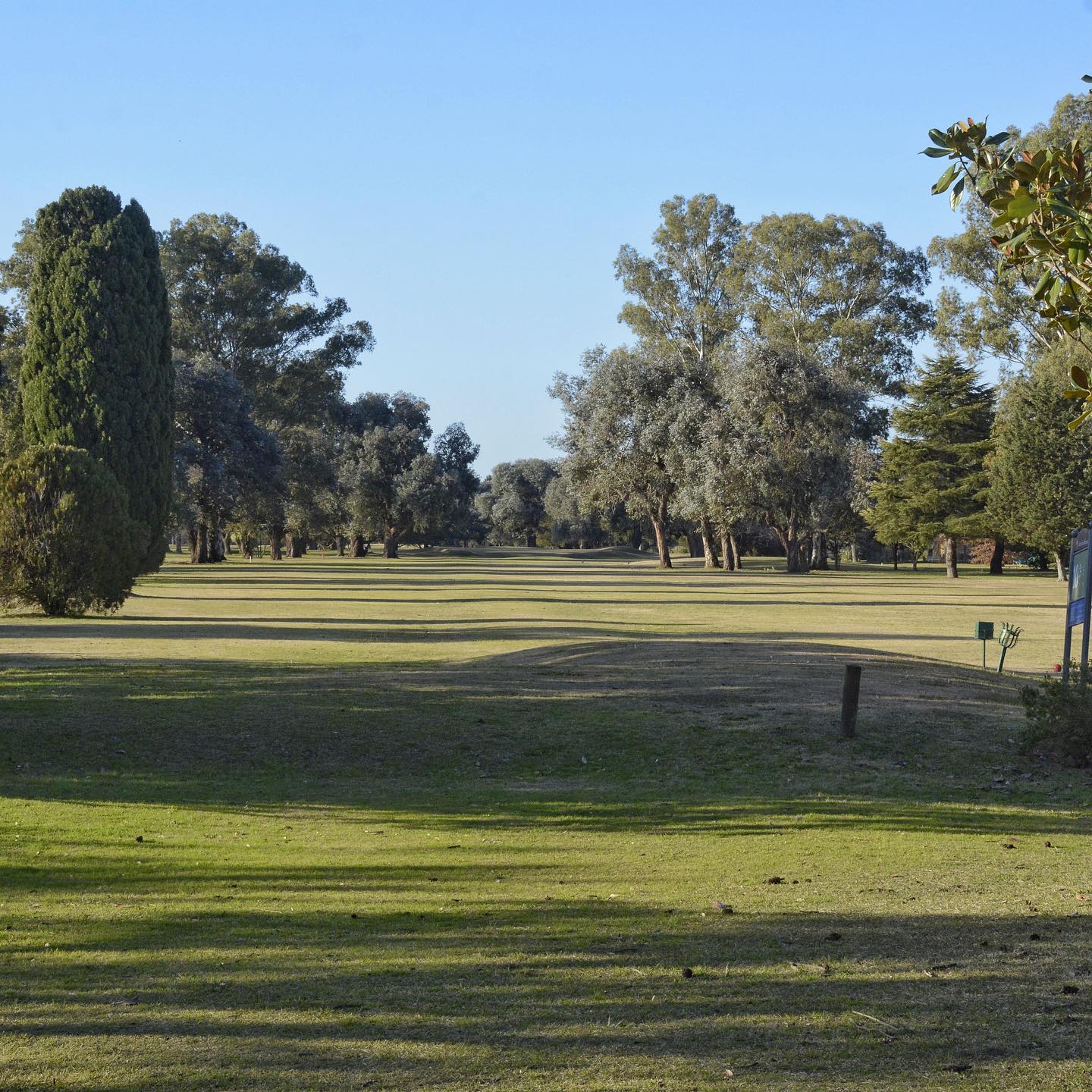 CLUB SIRIO LIBANES