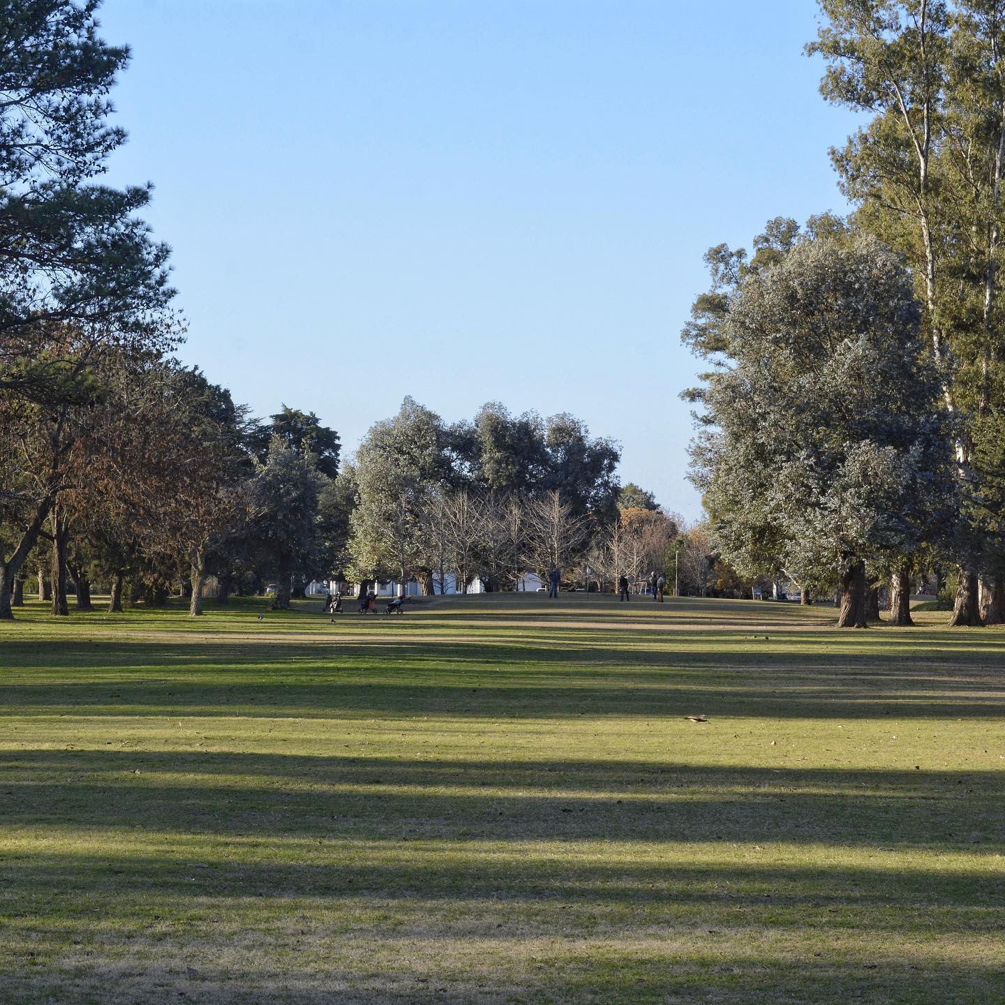 CLUB SIRIO LIBANES