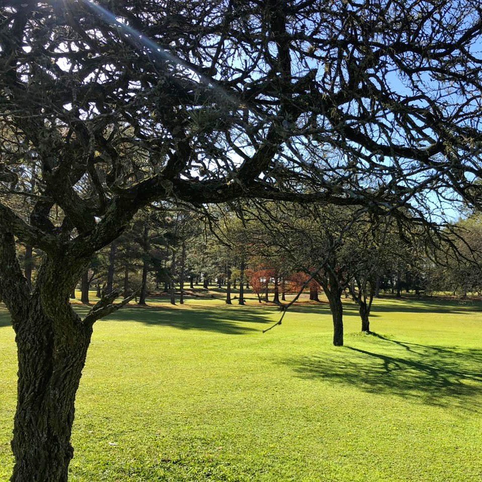 CLUB UNIVERSITARIO (CONC. URUGUAY)