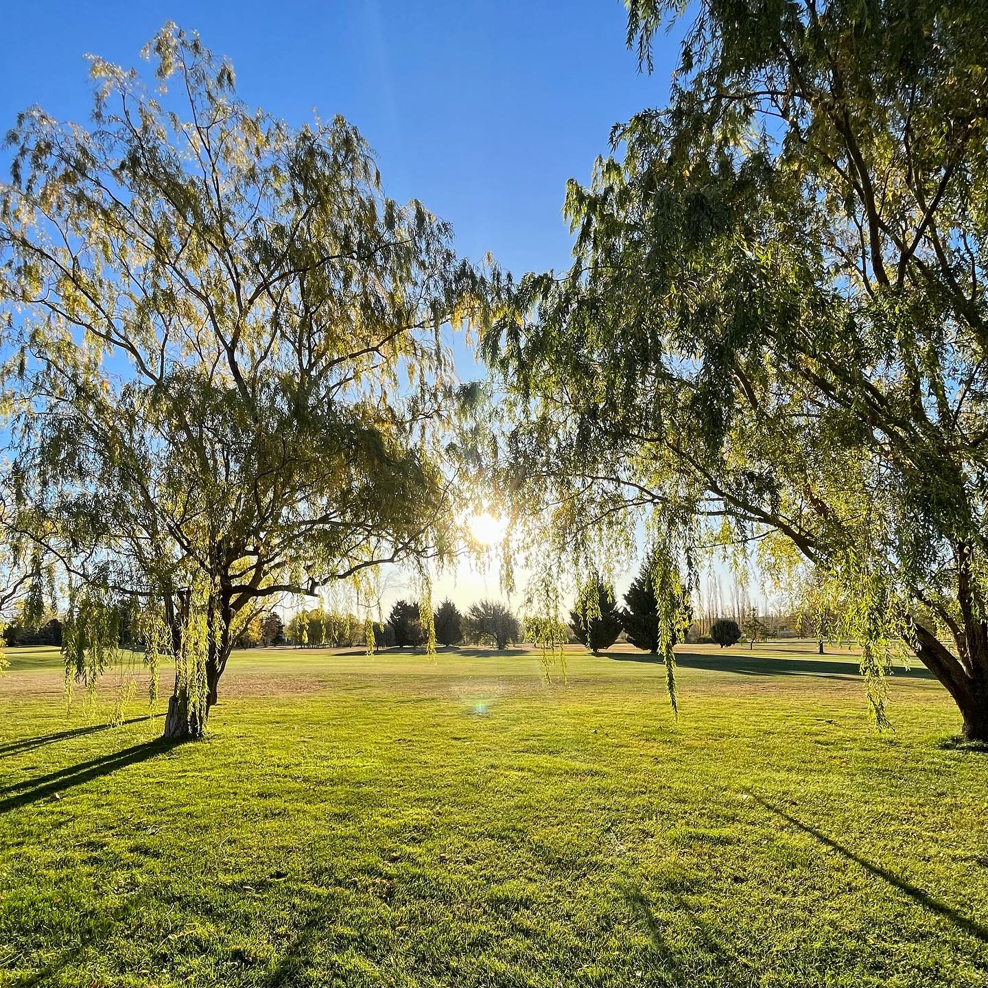 COMAHUE GOLF CLUB