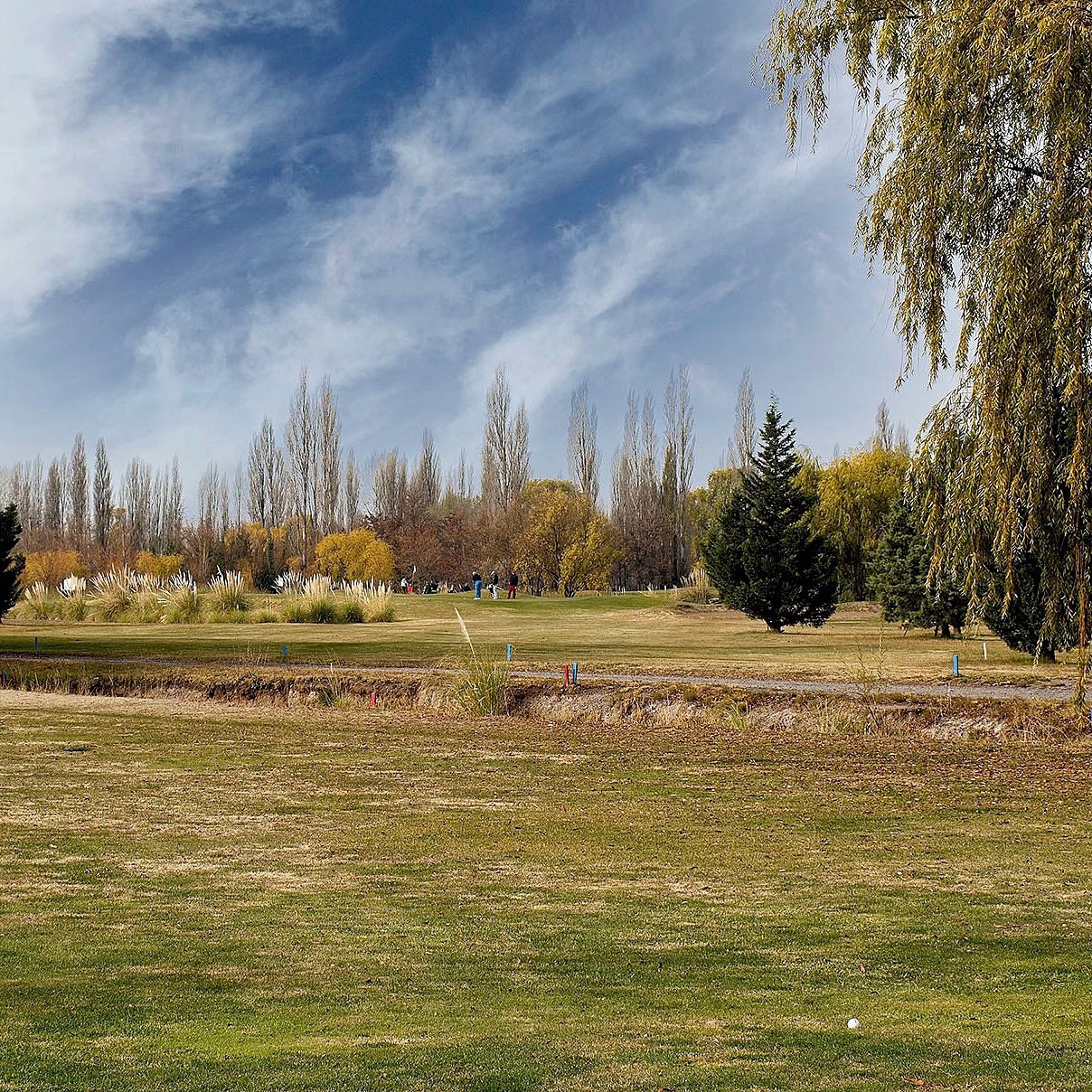 COMAHUE GOLF CLUB