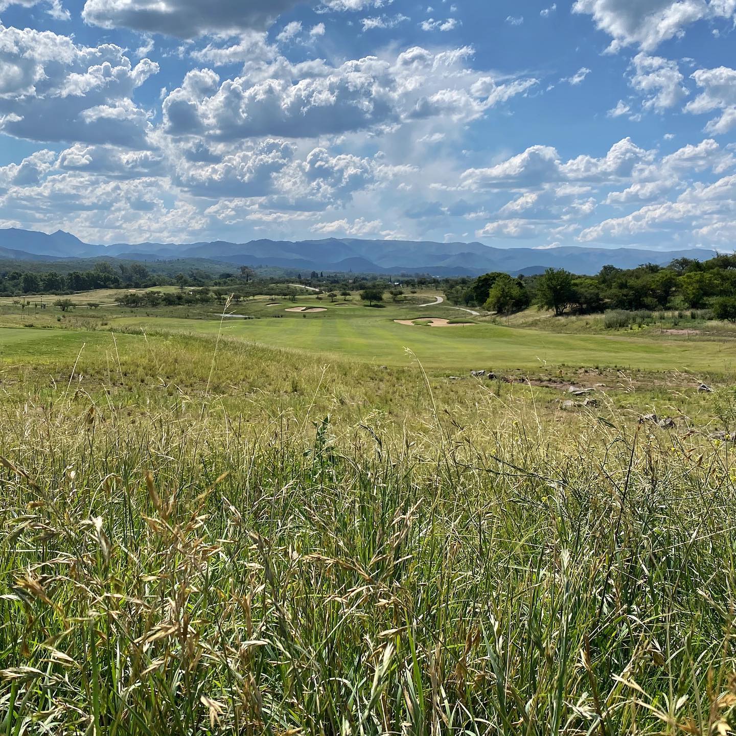 EL TERRON GOLF CLUB