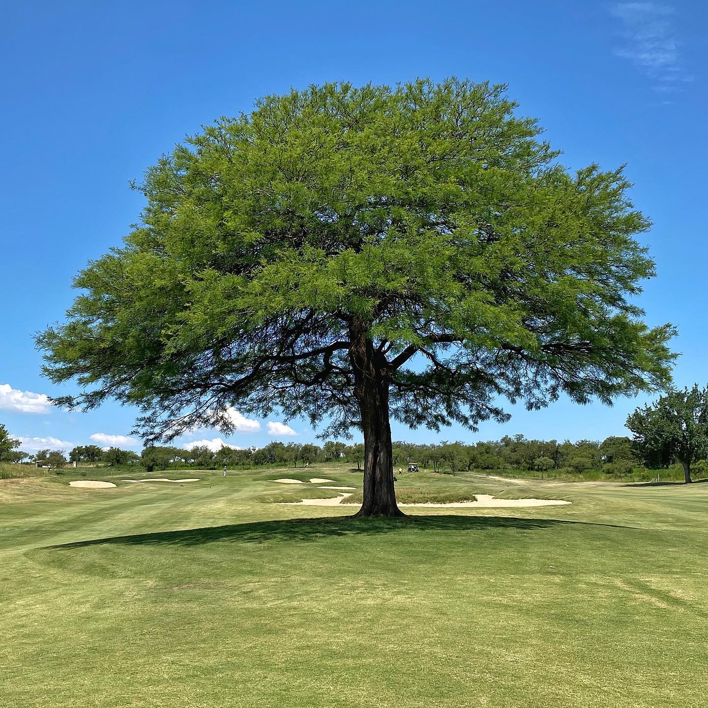 EL TERRON GOLF CLUB