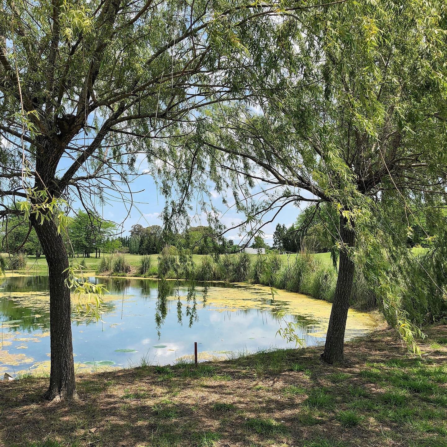 EVERLINKS CLUB DE GOLF