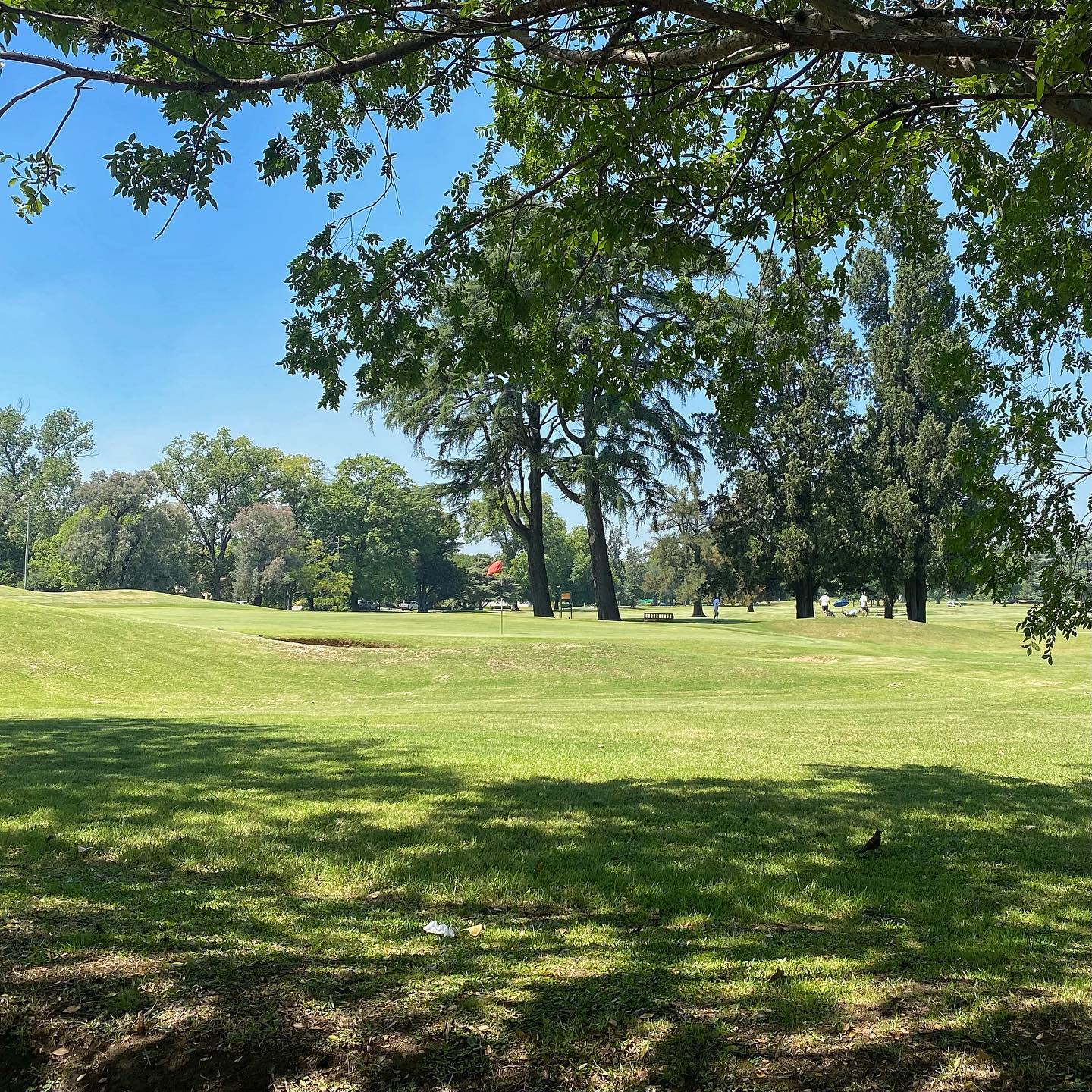 GOLF CLUB ARGENTINO