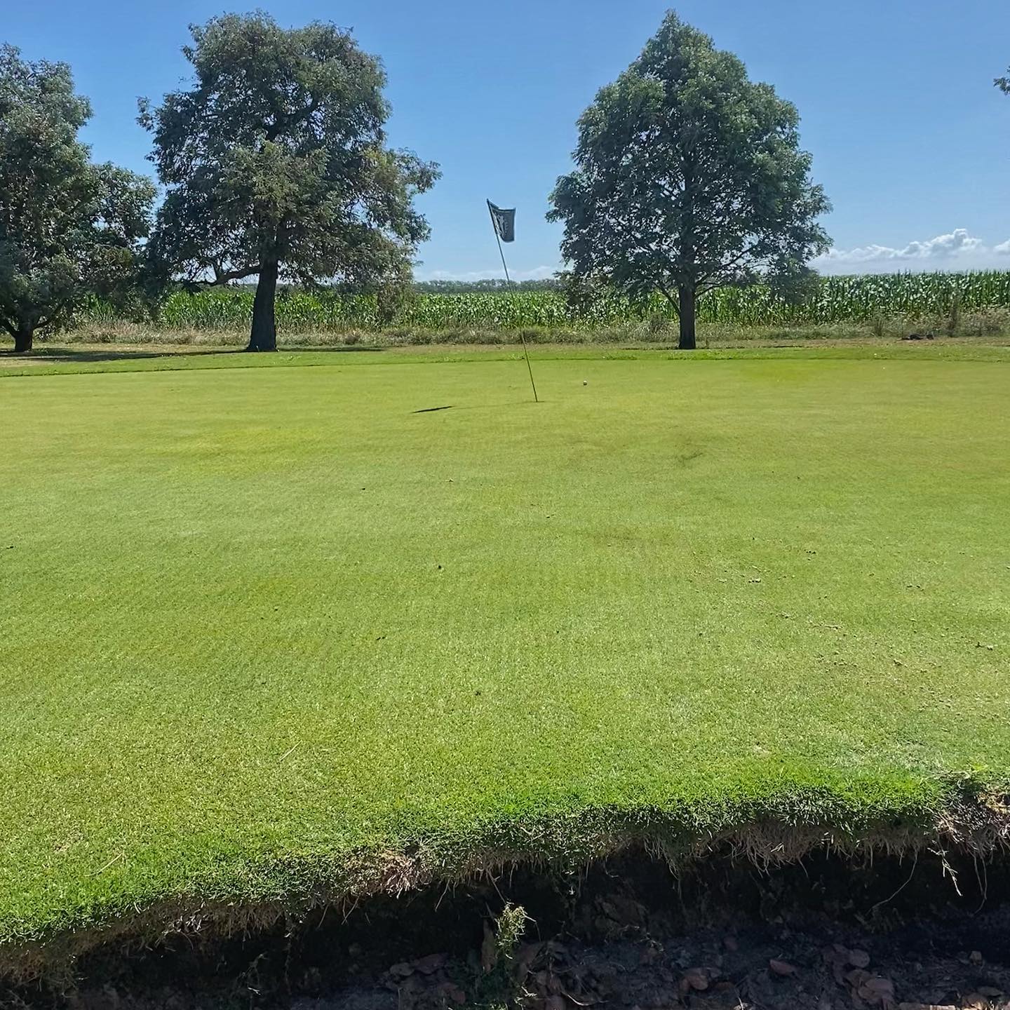 GOLF CLUB DOLORES