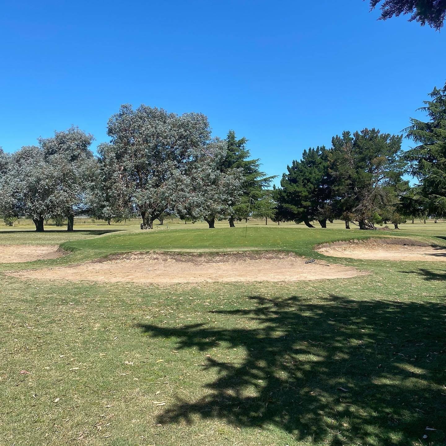 GOLF CLUB DOLORES