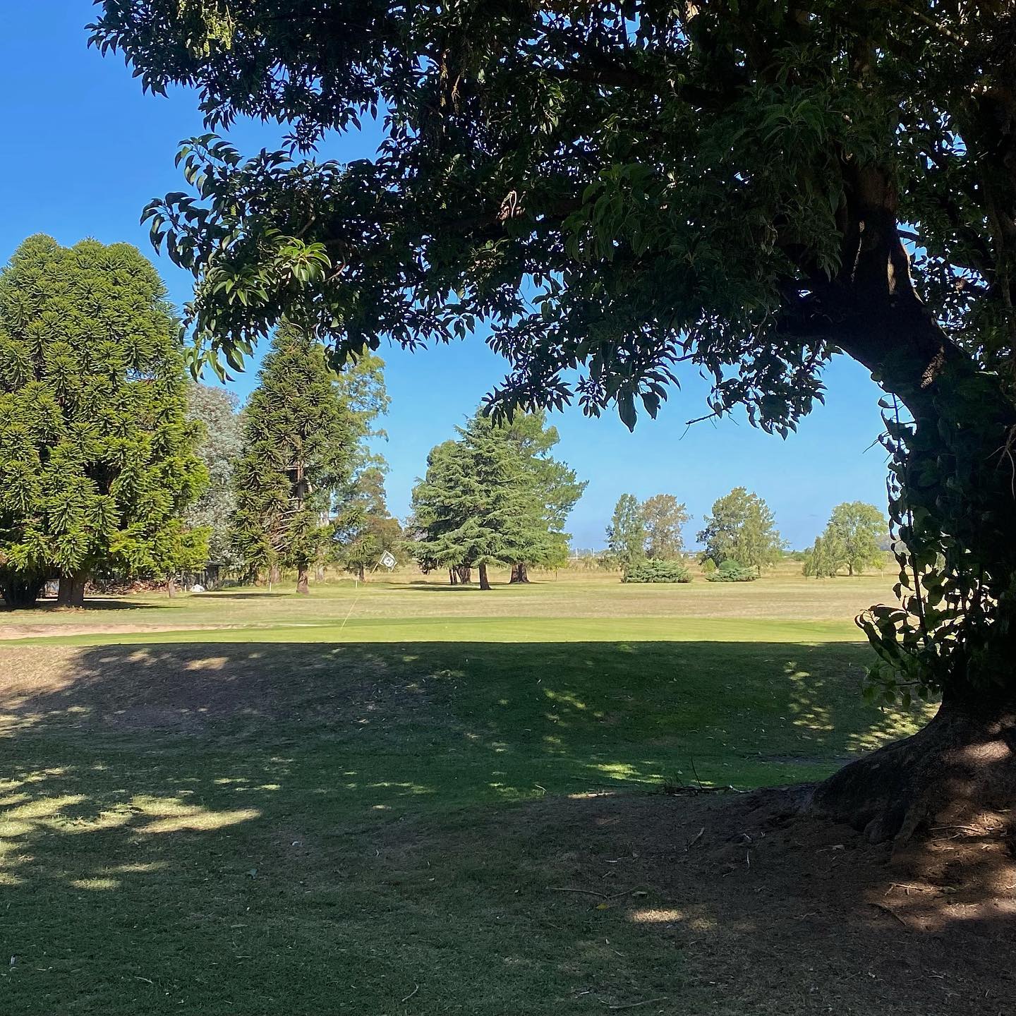 GOLF CLUB DOLORES