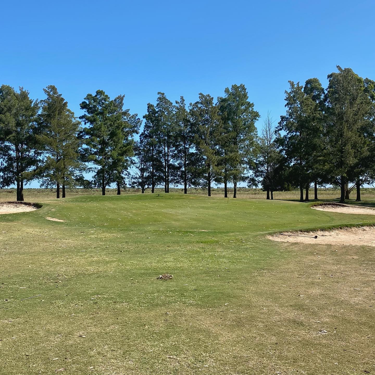 GOLF CLUB DOLORES