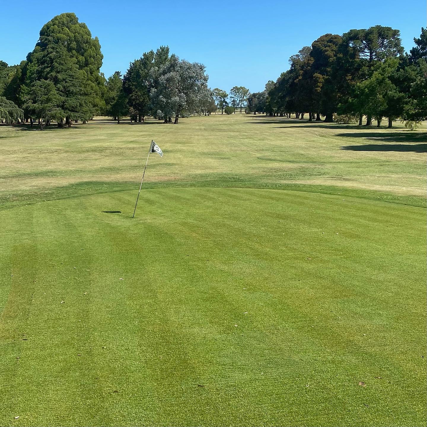 GOLF CLUB DOLORES