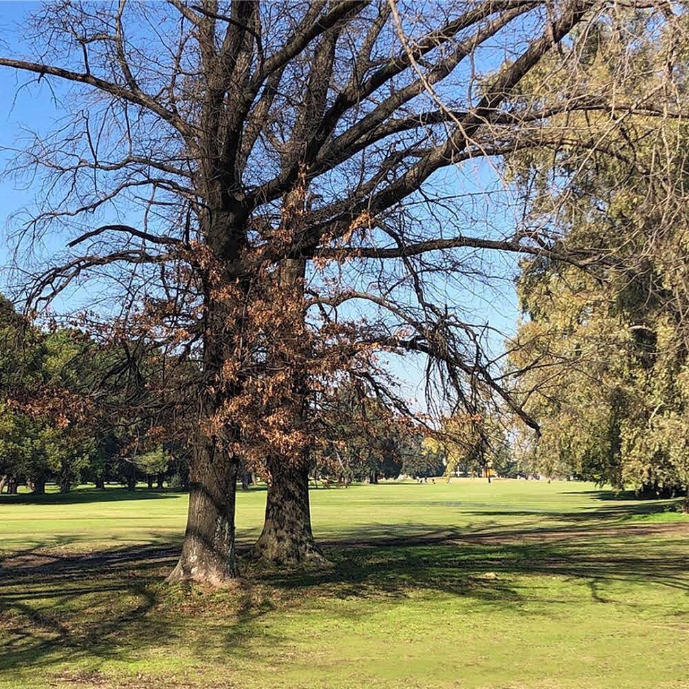 GOLF CLUB GRAL. SAN MARTIN