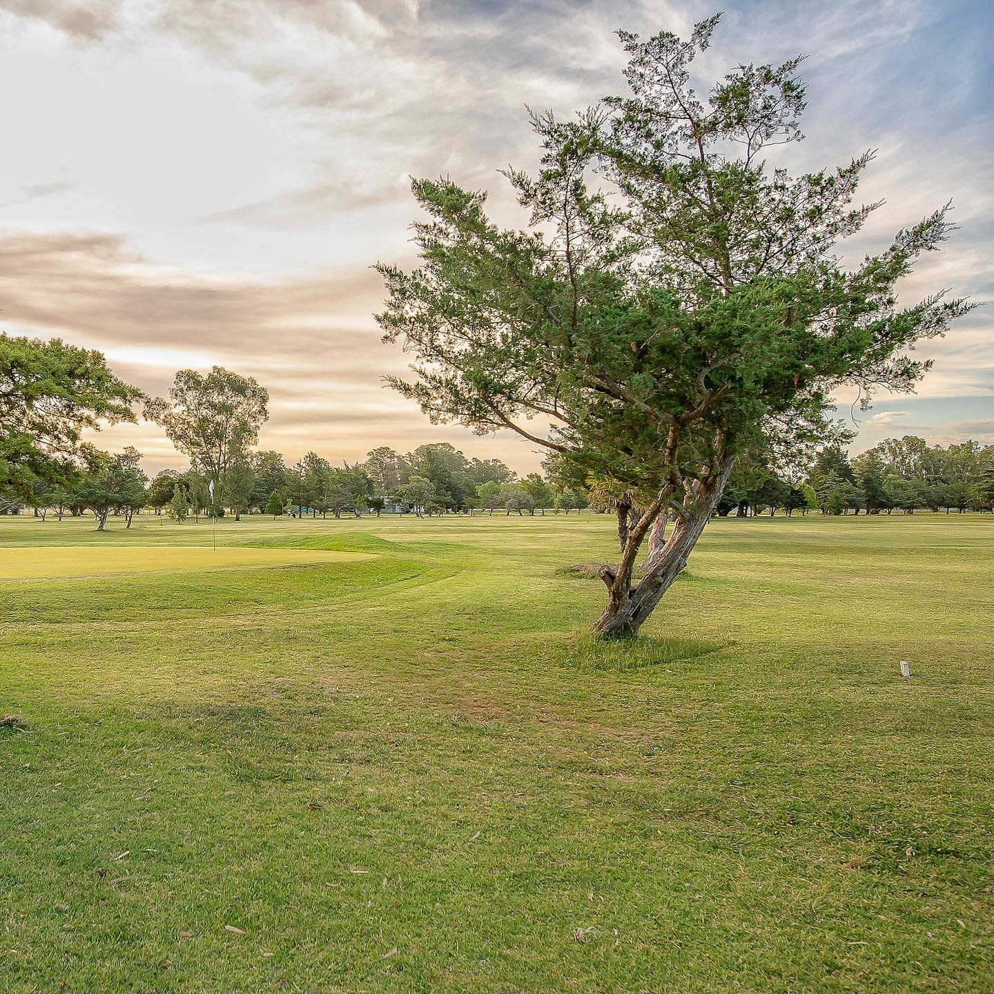 GOLF CLUB TAPALQUE