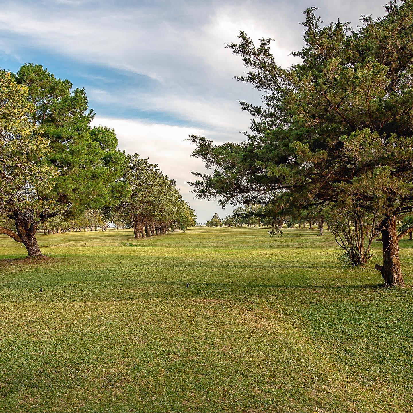 GOLF CLUB TAPALQUE