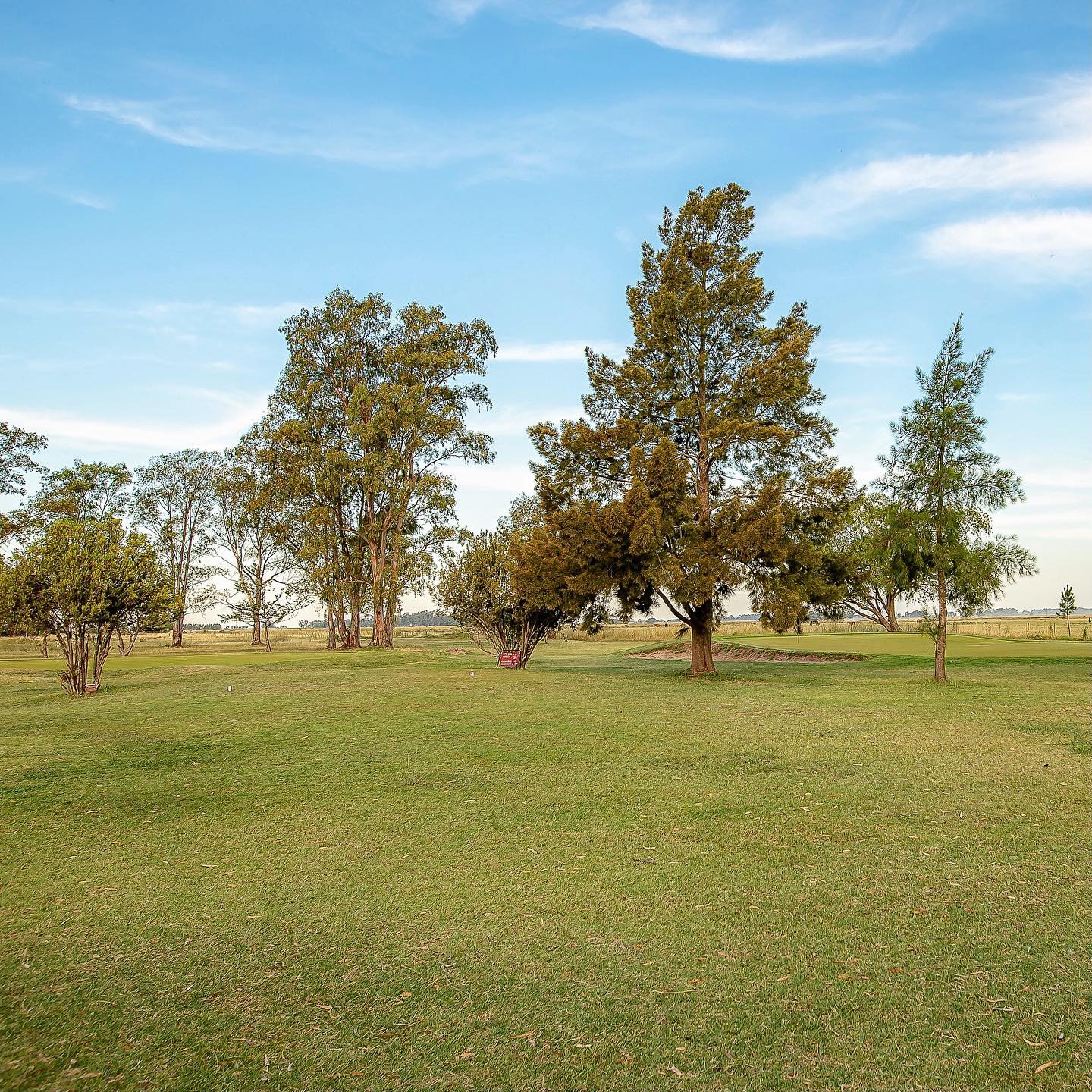 GOLF CLUB TAPALQUE