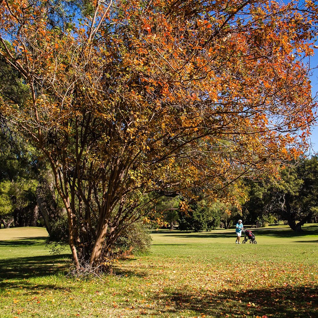 GOLF CLUB YACANTO