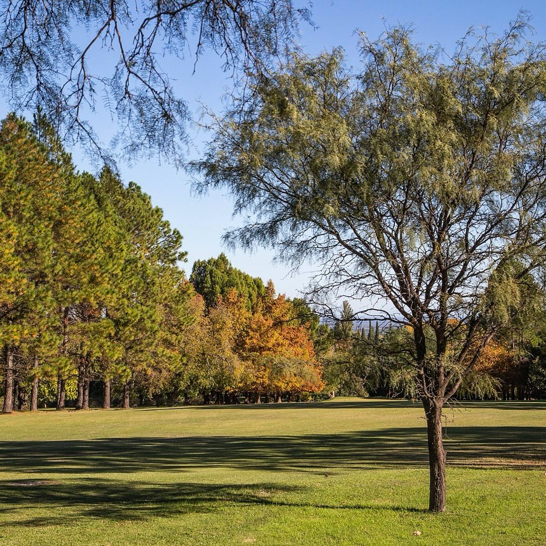 GOLF CLUB YACANTO