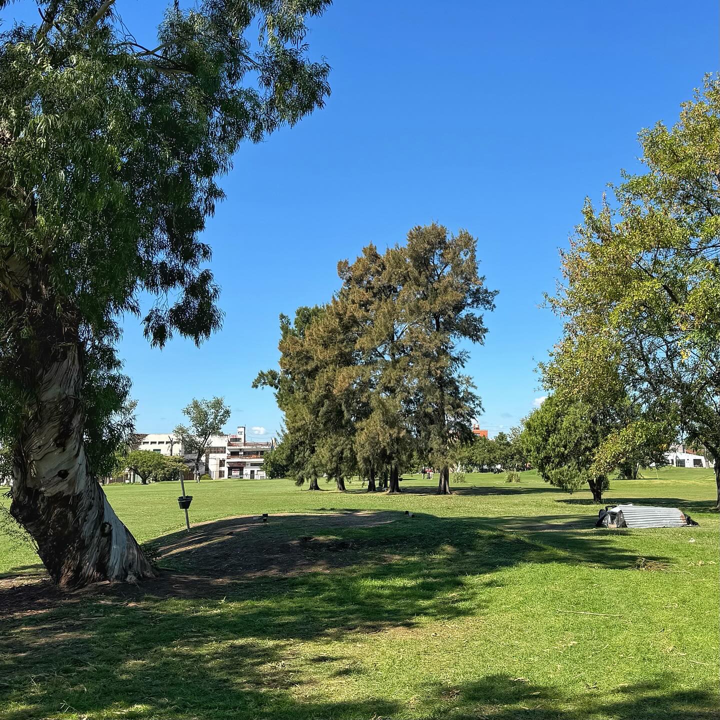 GOOD YEAR GOLF CLUB
