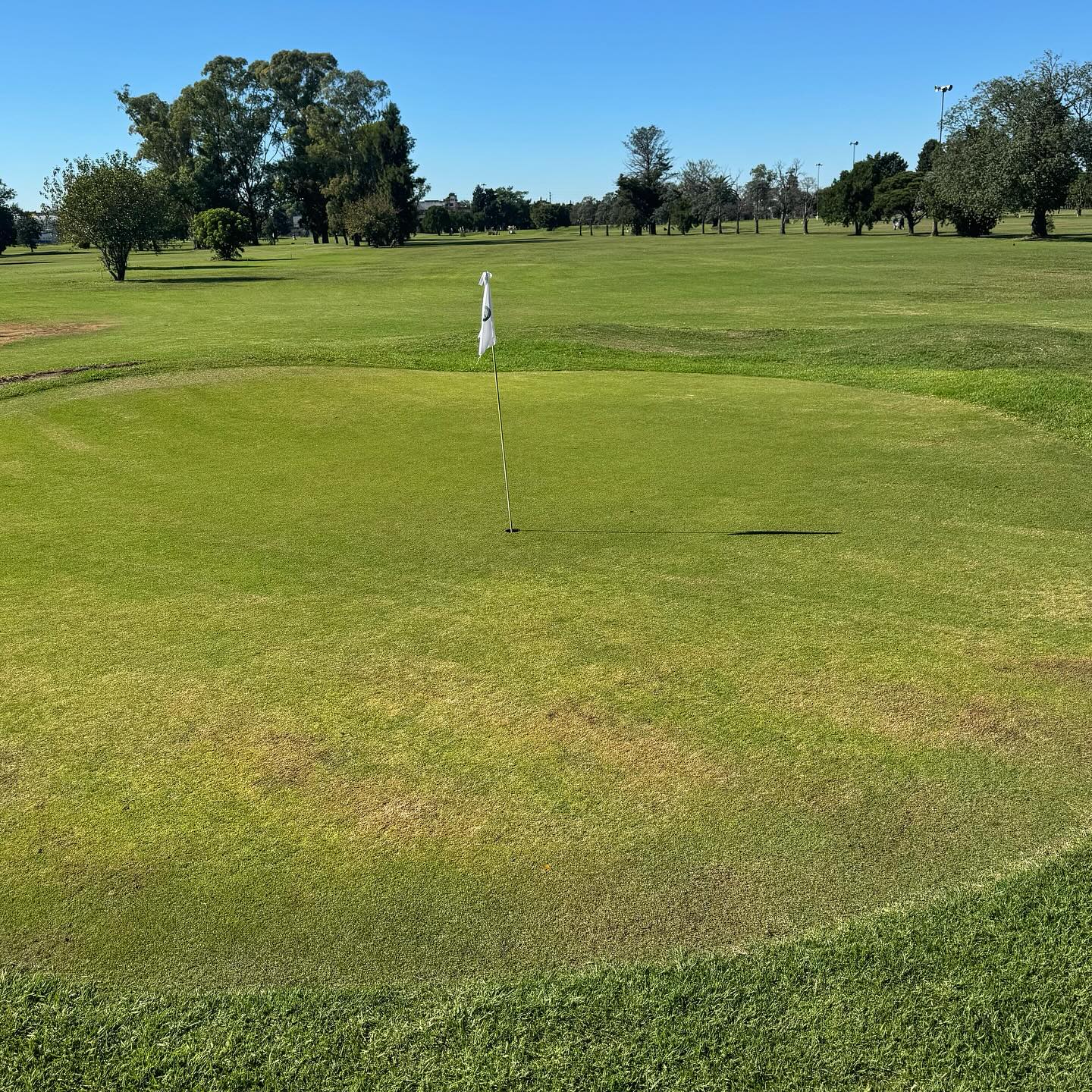 GOOD YEAR GOLF CLUB