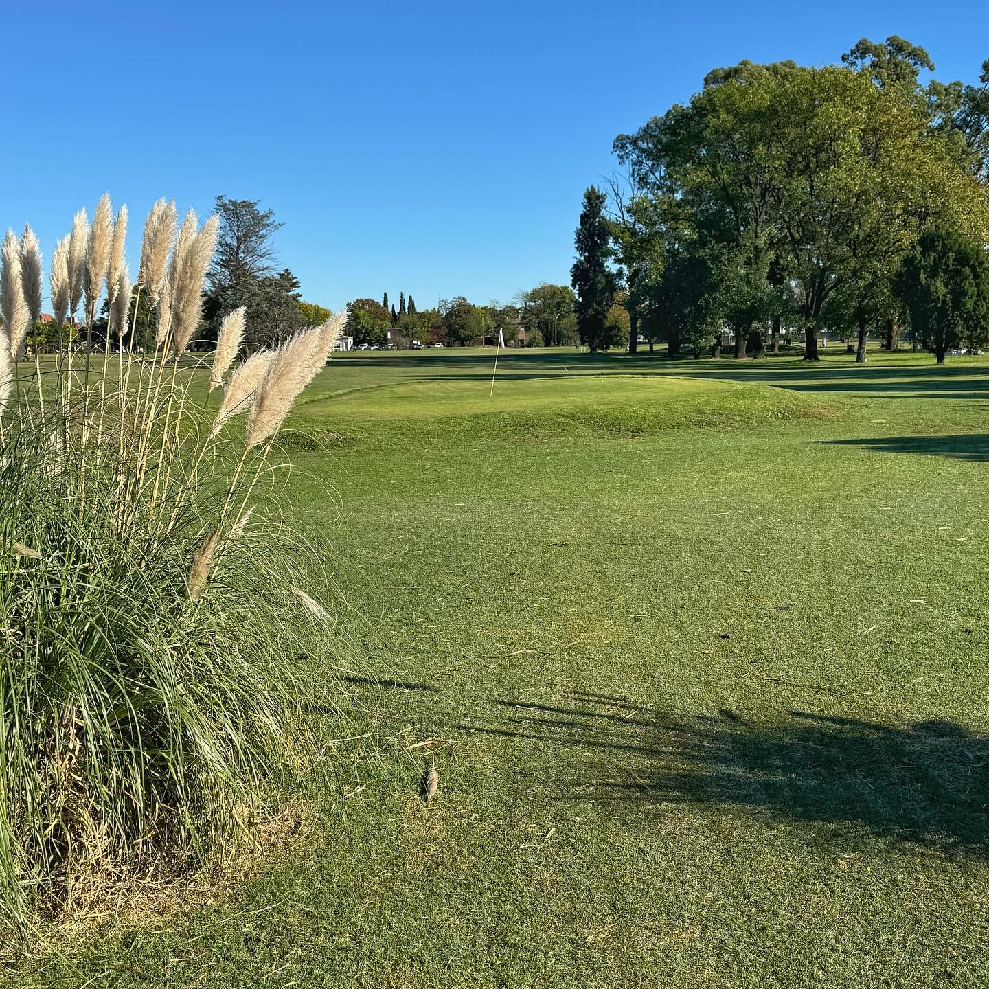 GOOD YEAR GOLF CLUB