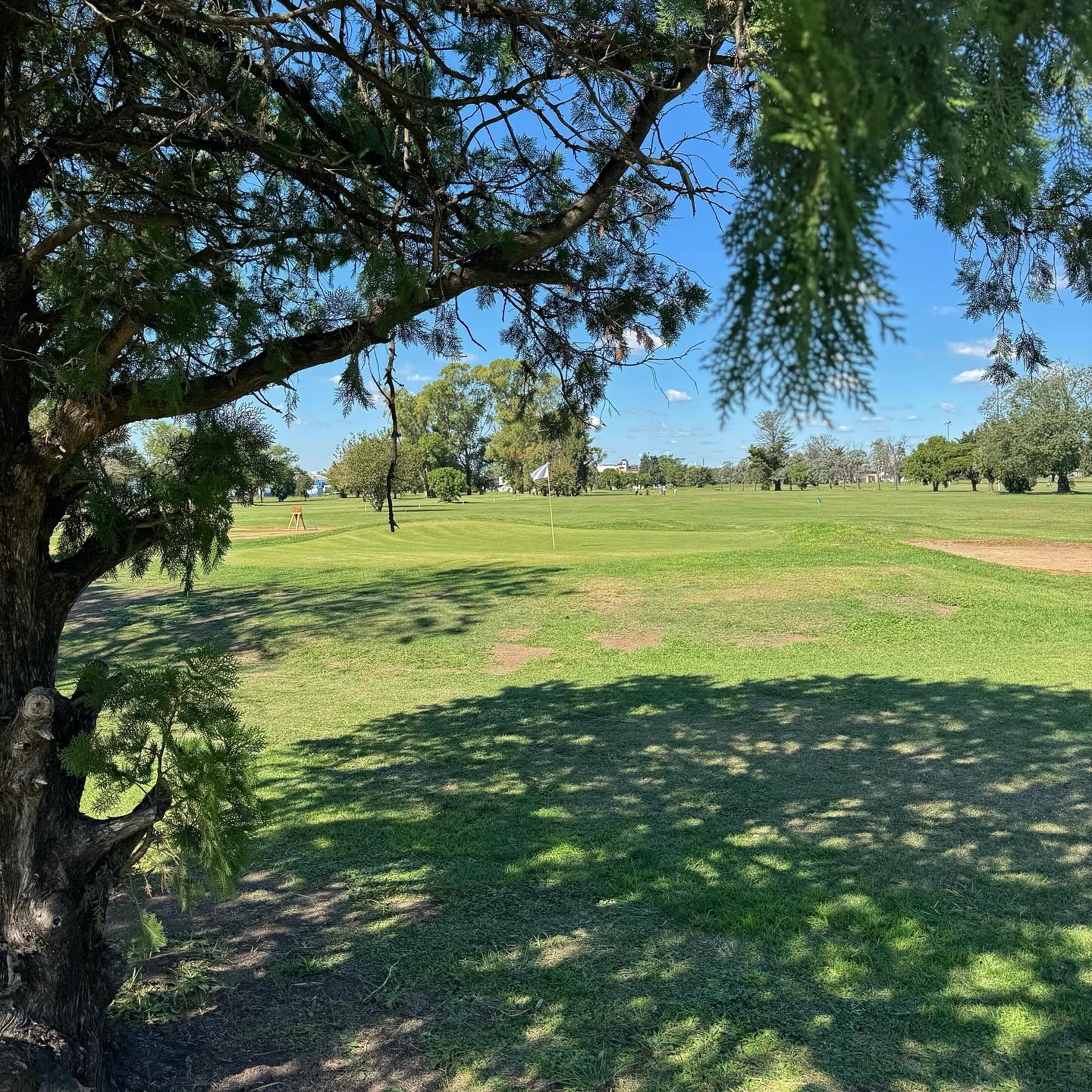 GOOD YEAR GOLF CLUB