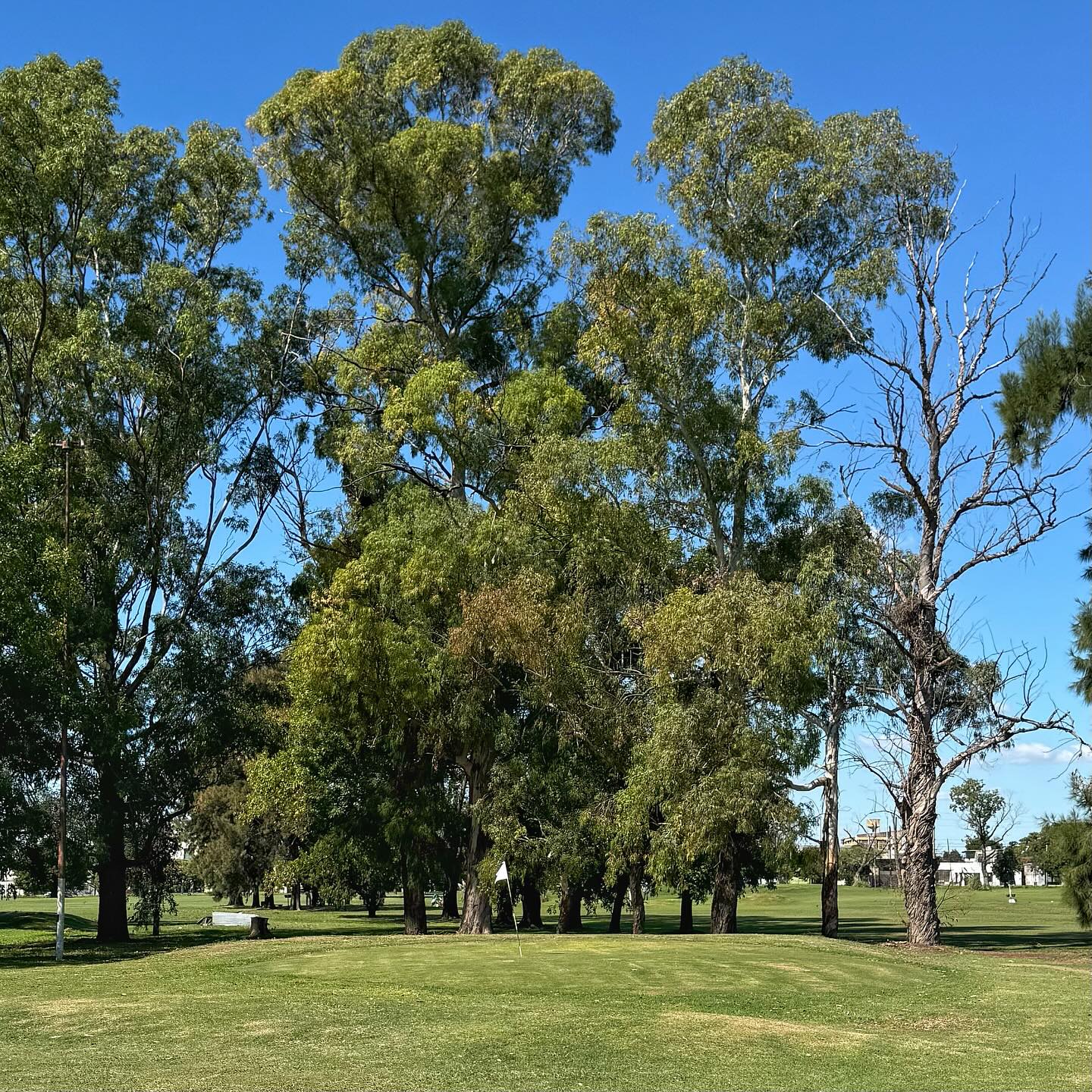 GOOD YEAR GOLF CLUB