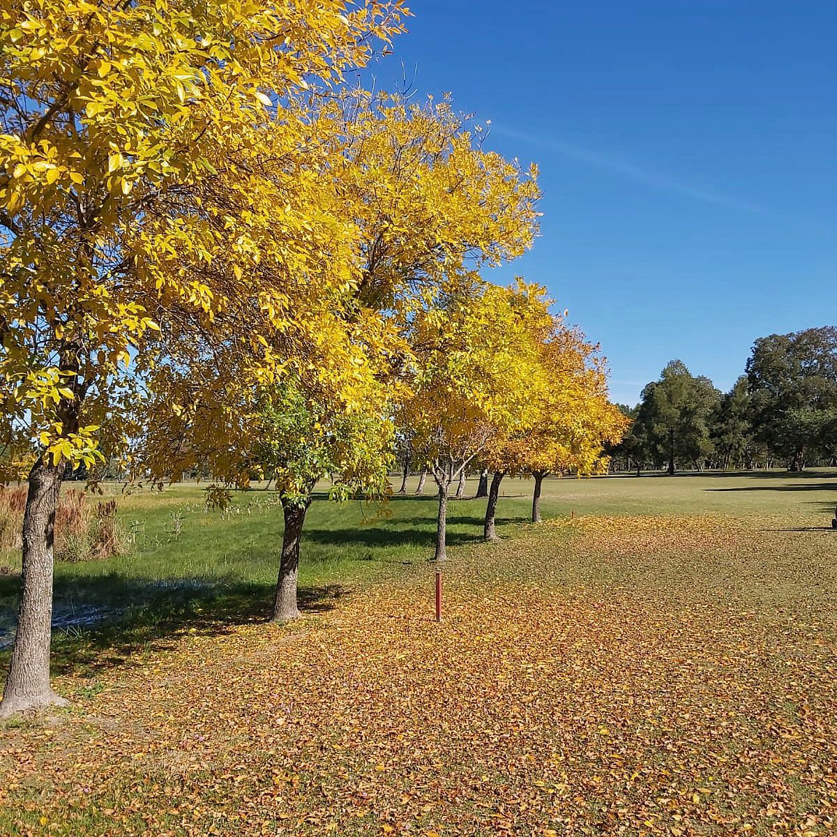 GOYA GOLF CLUB