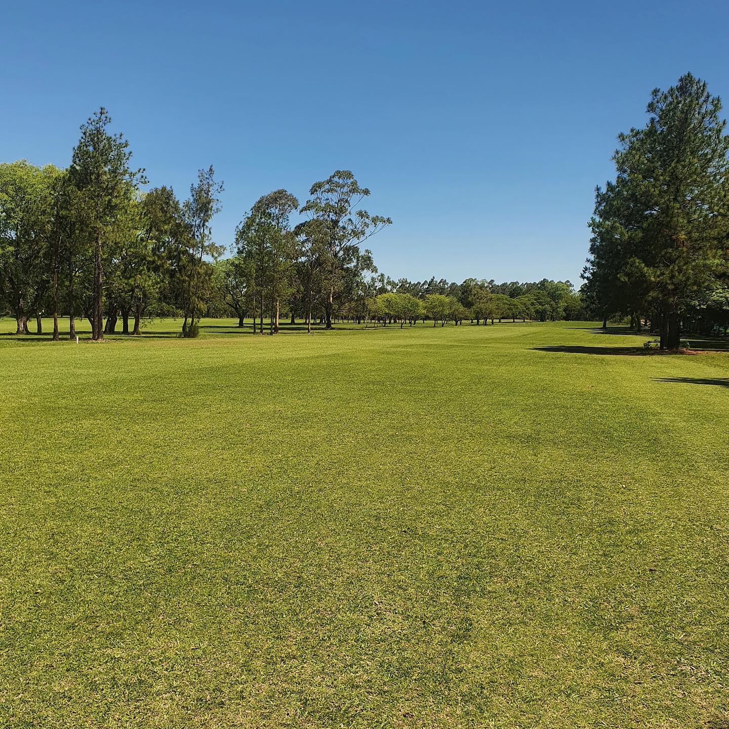 GOYA GOLF CLUB