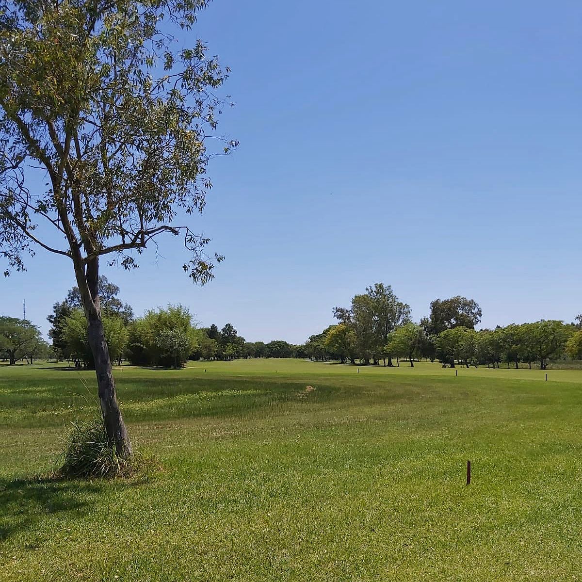 GOYA GOLF CLUB
