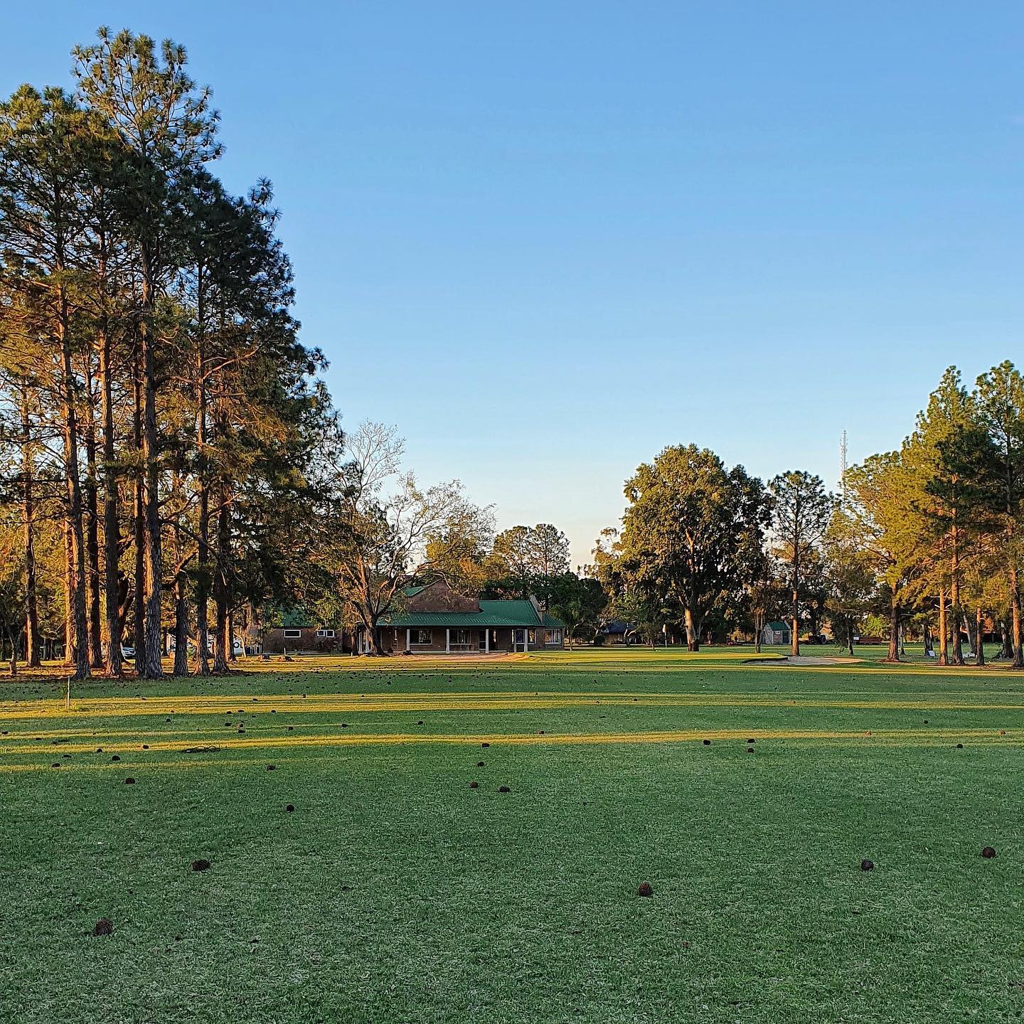 GOYA GOLF CLUB