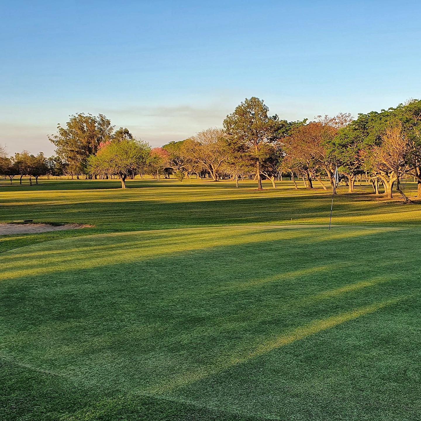 GOYA GOLF CLUB