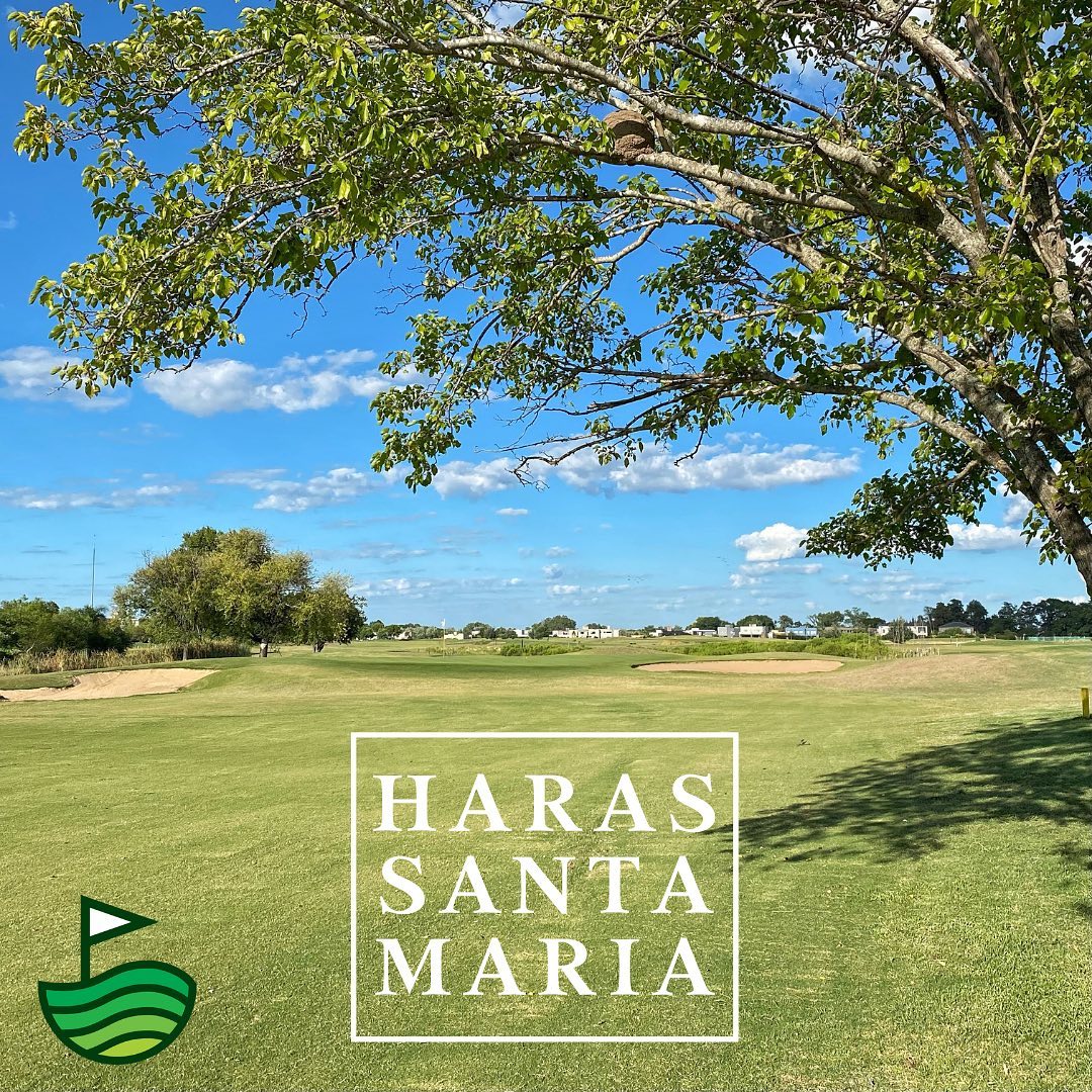 HARAS SANTA MARIA
