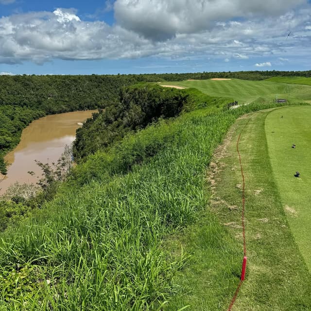 Dye Fore