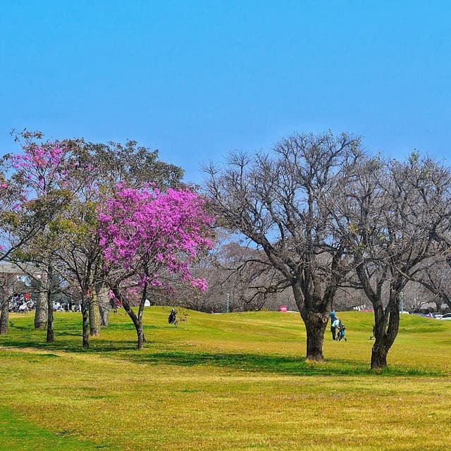 Jockey Club Tucumán - Cancha Nueva