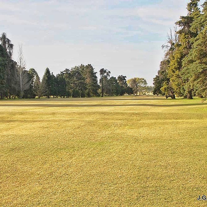 JUNIN GOLF CUB