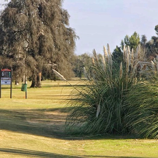 JUNIN GOLF CUB