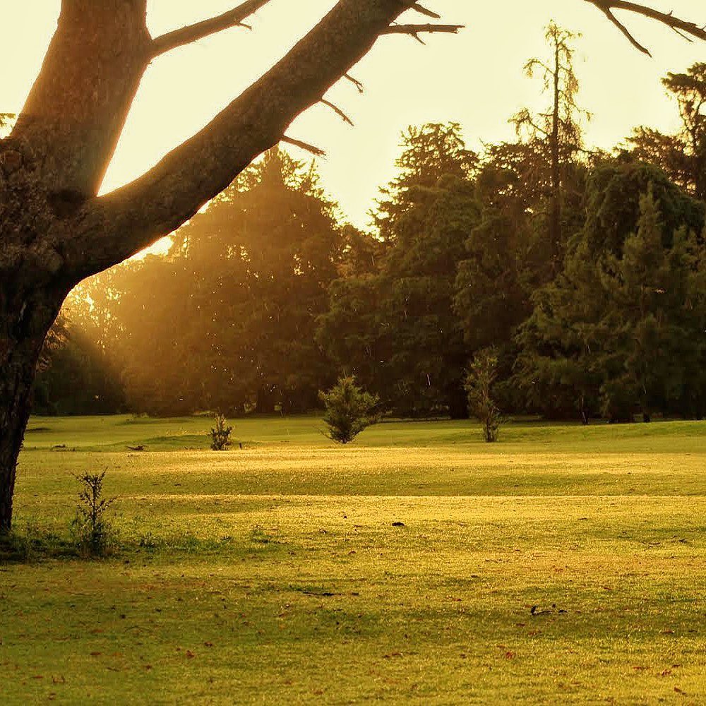 JUNIN GOLF CUB