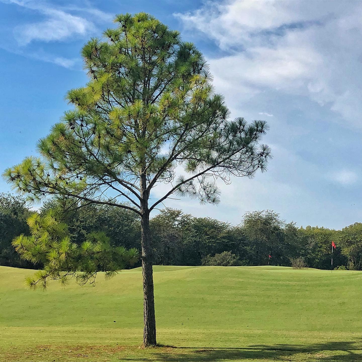 LA COLINA GOLF CLUB