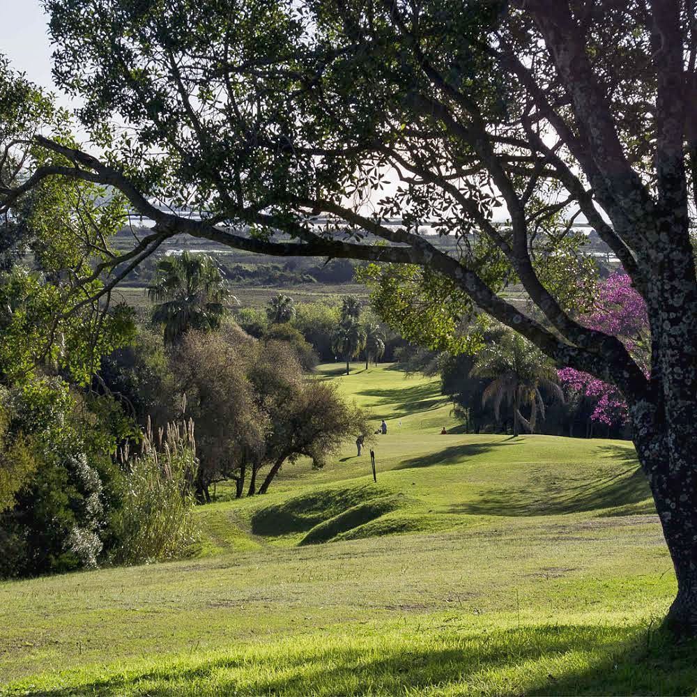 LAS COLINAS GOLF