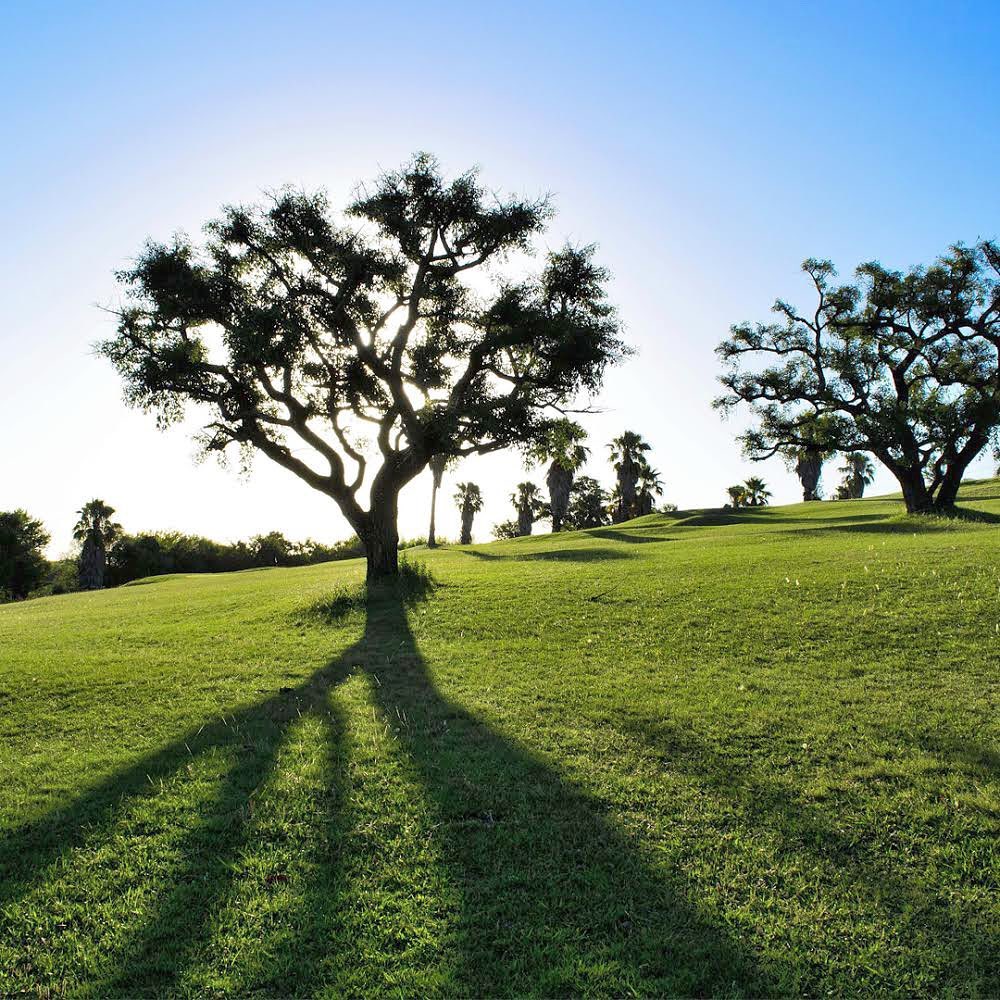 LAS COLINAS GOLF