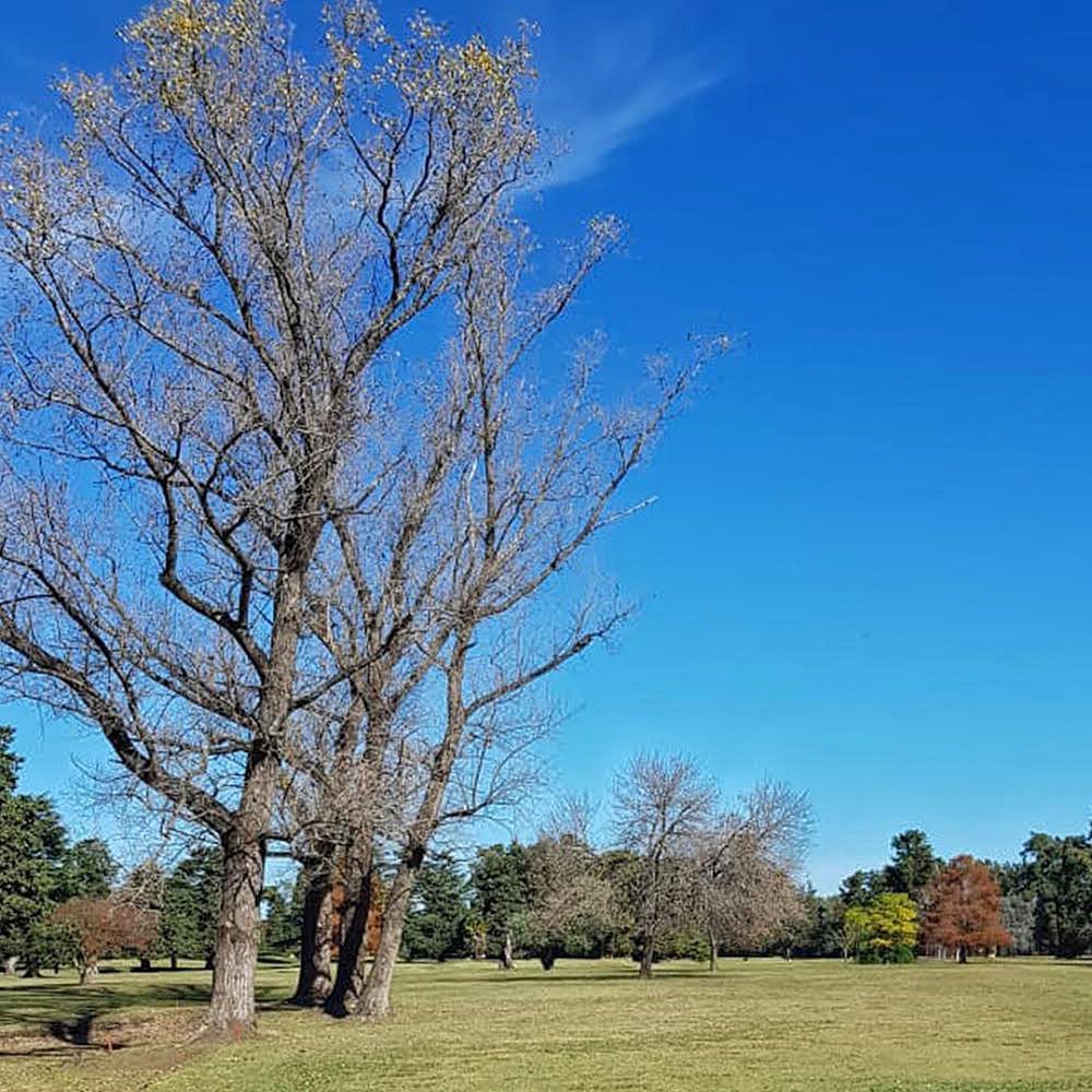 LINCOLN GOLF CLUB