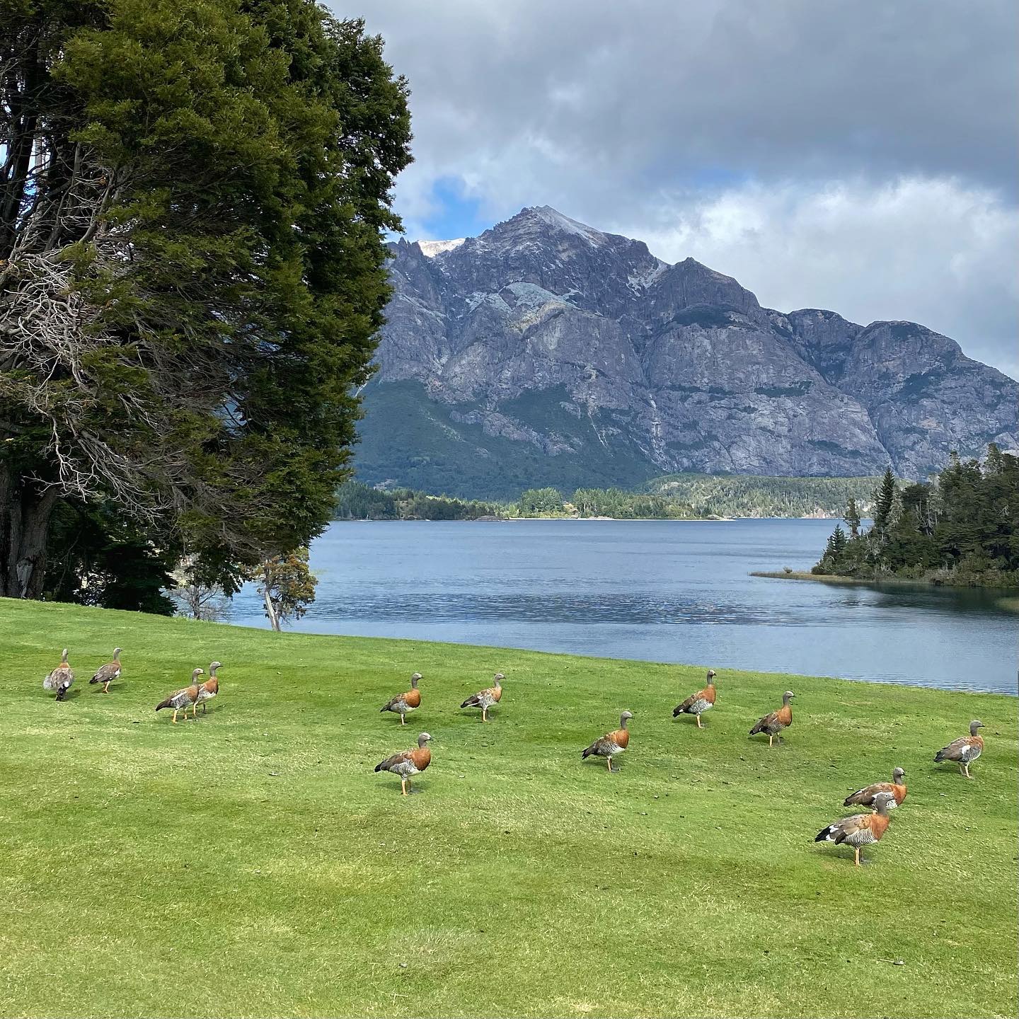 LLAO LLAO GOLF CLUB