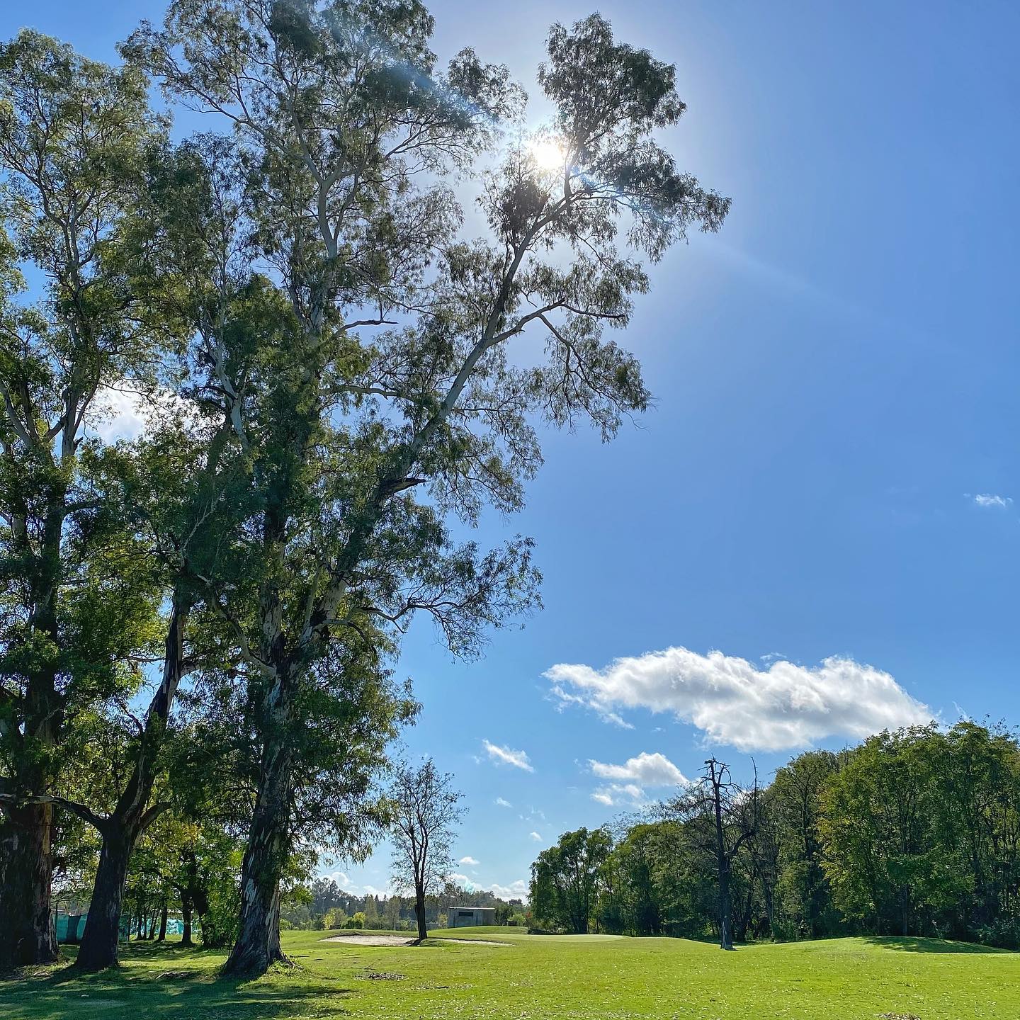 MEDAL COUNTRY CLUB PILAR