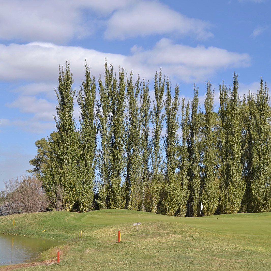 NAMUNCURA POLO CLUB