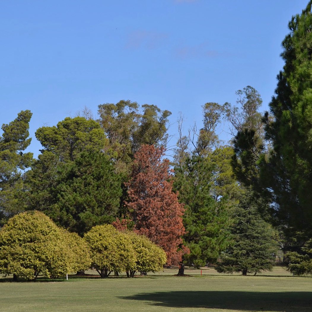 NAMUNCURA POLO CLUB