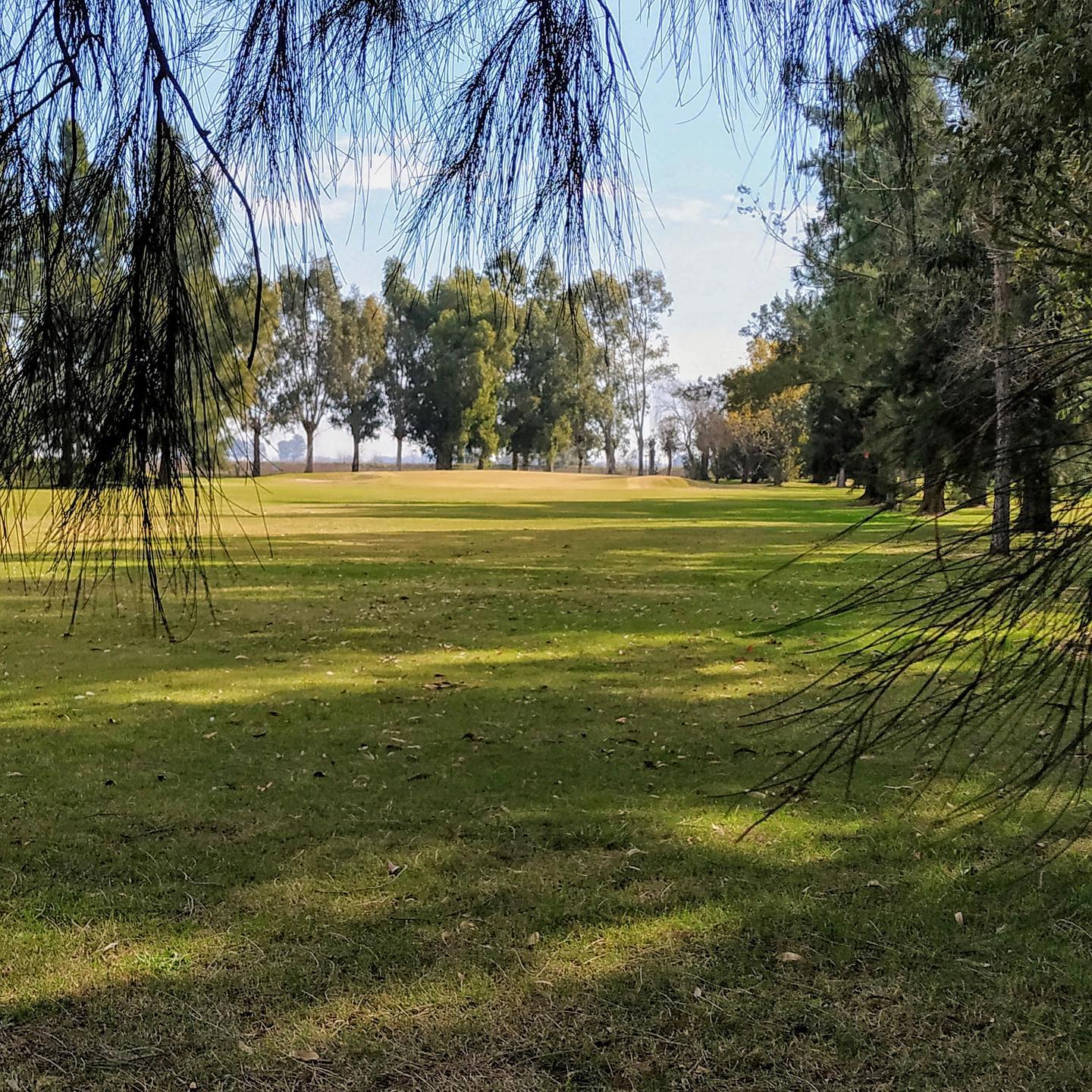 NAVARRO GOLF CLUB