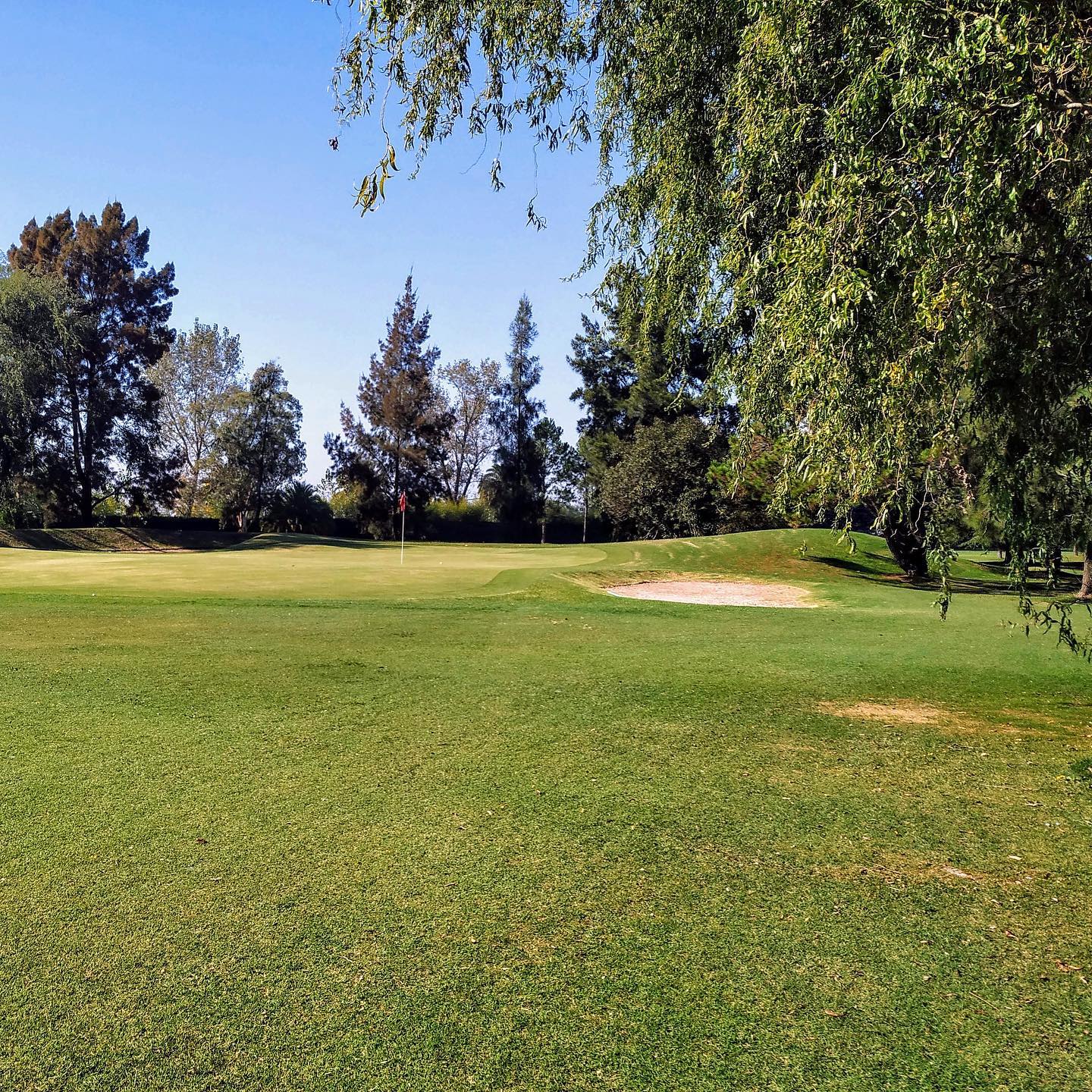 NAVARRO GOLF CLUB